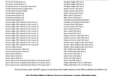 Seats for Election in Lake County 2026